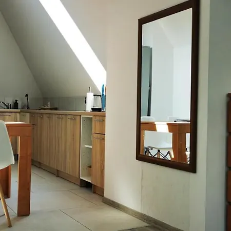 Klimatyczne Apartamenty Z Widokiem Na Gory Sowie Bielawa  Exterior photo