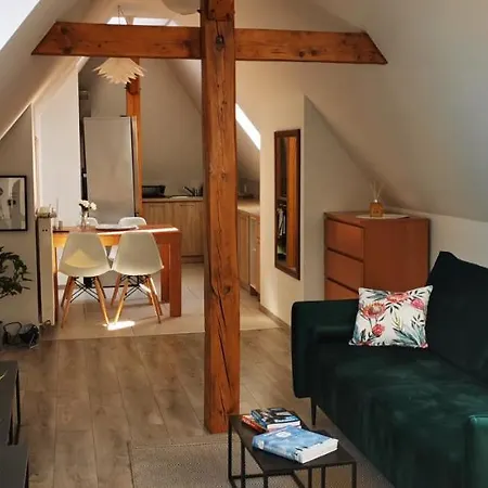 Klimatyczne Apartamenty Z Widokiem Na Gory Sowie Bielawa  Exterior photo