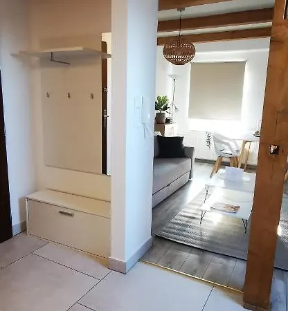 Klimatyczne Apartamenty Z Widokiem Na Gory Sowie Bielawa  Exterior photo
