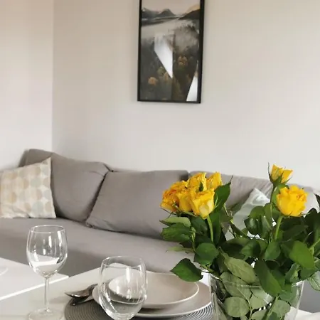 Klimatyczne Apartamenty Z Widokiem Na Gory Sowie Bielawa  Exterior photo