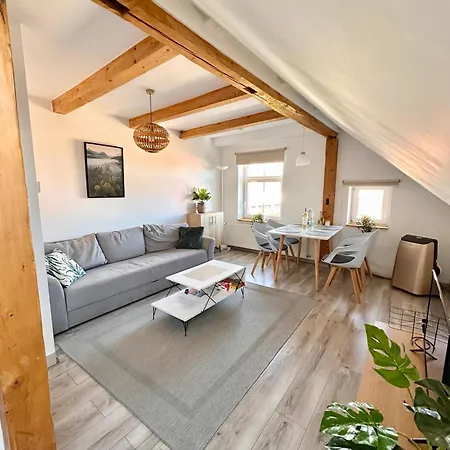 Klimatyczne Apartamenty Z Widokiem Na Gory Sowie Bielawa  Exterior photo