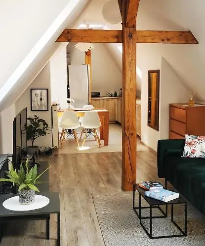 Klimatyczne Apartamenty Z Widokiem Na Gory Sowie