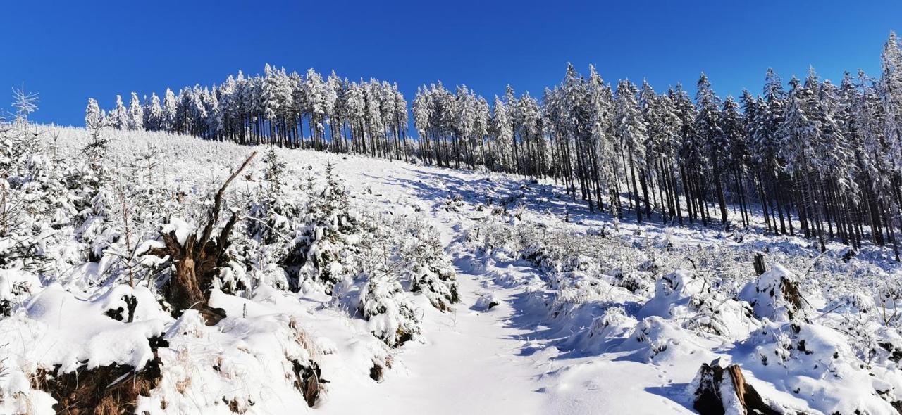 Klimatyczne Z Widokiem Na Gory Sowie *