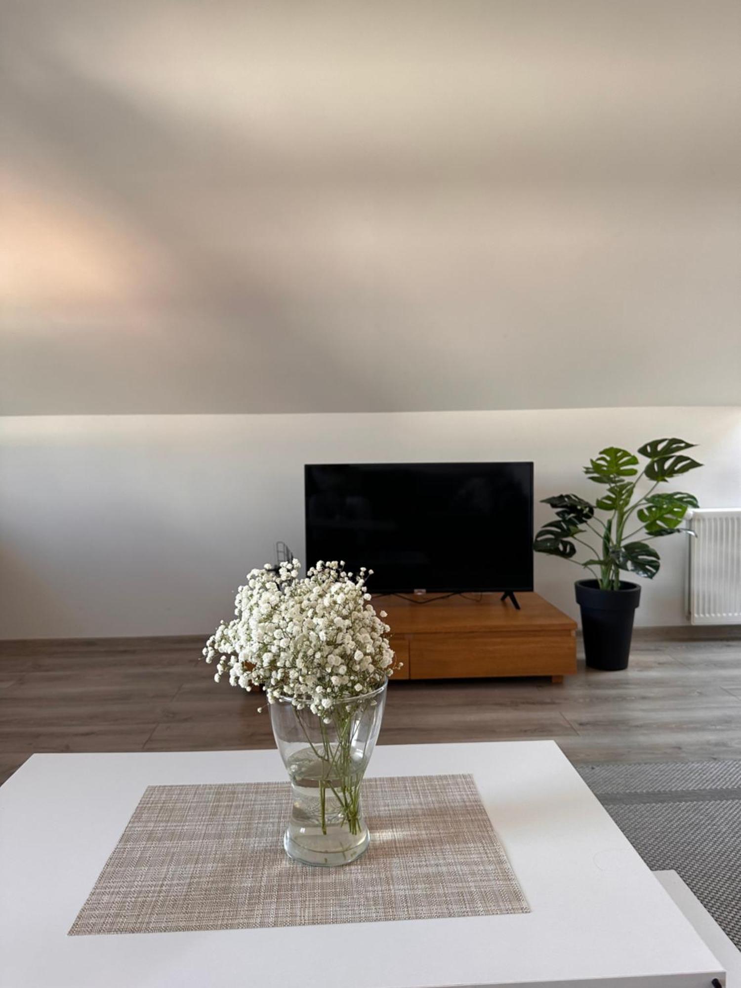 Apartment Klimatyczne Z Widokiem Na Gory Sowie Bielawa (Dzierzoniow)