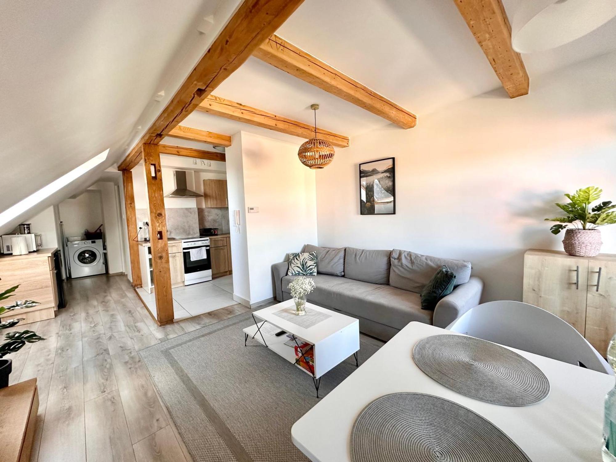 Klimatyczne Z Widokiem Na Gory Sowie Apartment
